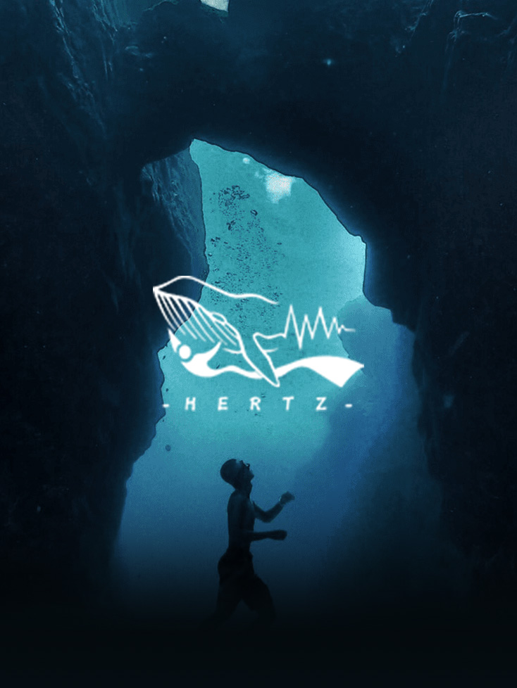 Hertz 自由潛水