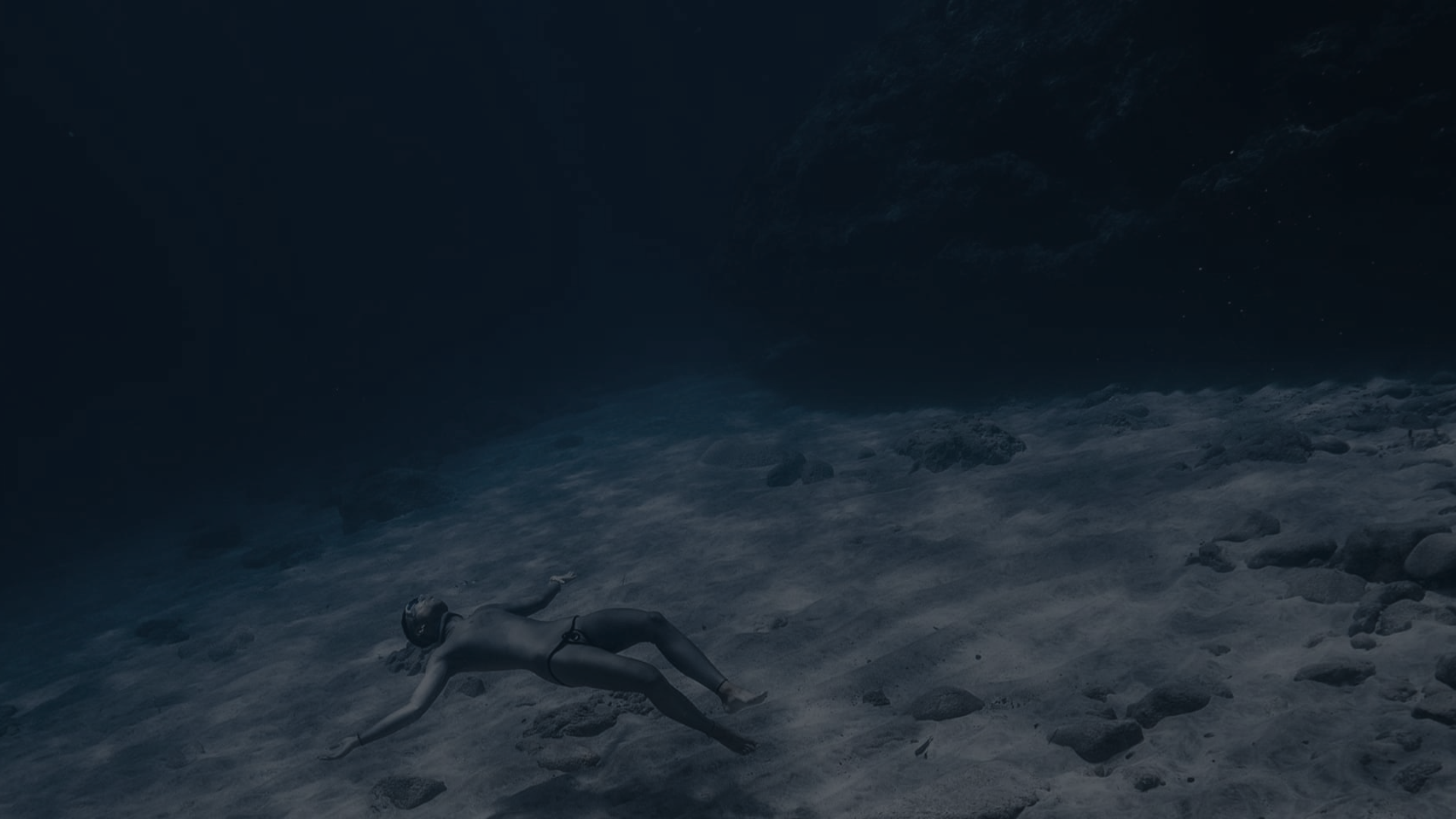 [004] null